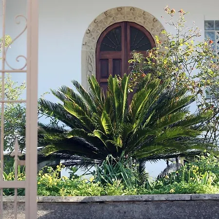 Casa Vacanza D'arte Salentina Specchia